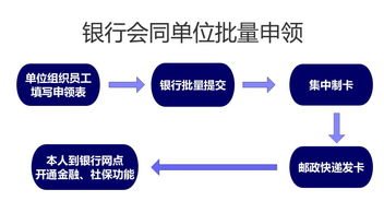 智能升级，安全无忧 新版社保卡赋能数据处理与存储服务