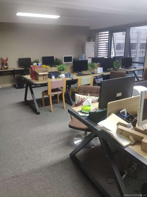 数字化转型的基石 一般项目中的软件开发与信息技术服务